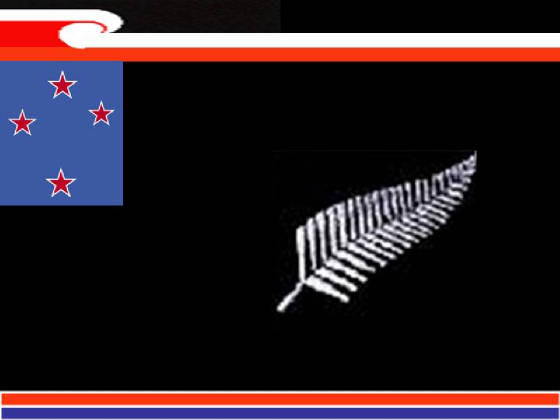 Black And White Cross Flag. It retains the Southern Cross,