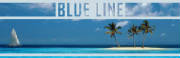 blue-line.jpg